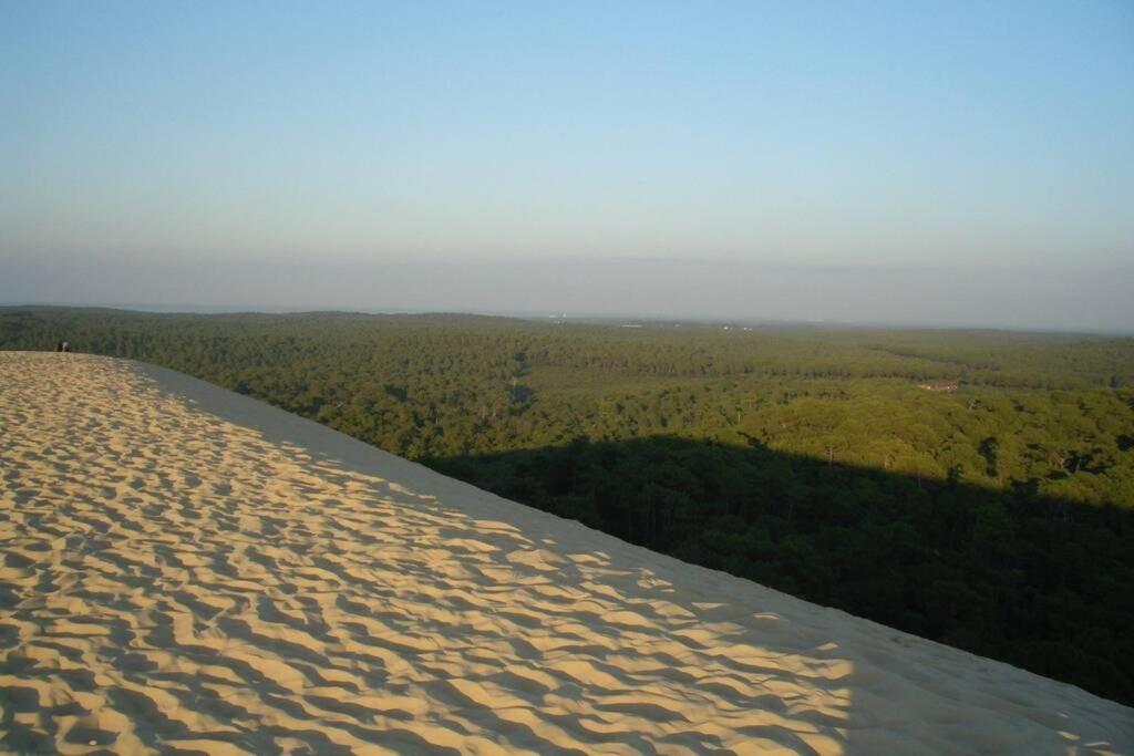 La De Carol Au Coeur Du Bassin D'arcachon *