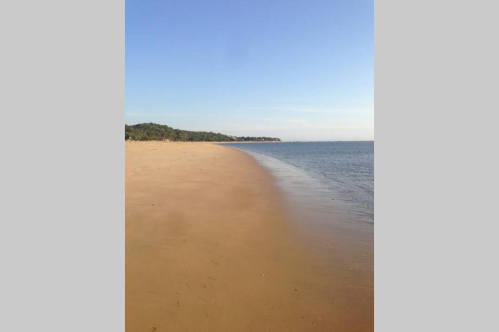 La De Carol Au Coeur Du Bassin D'arcachon * Le Teich